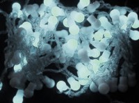 Cordón luminoso bolas